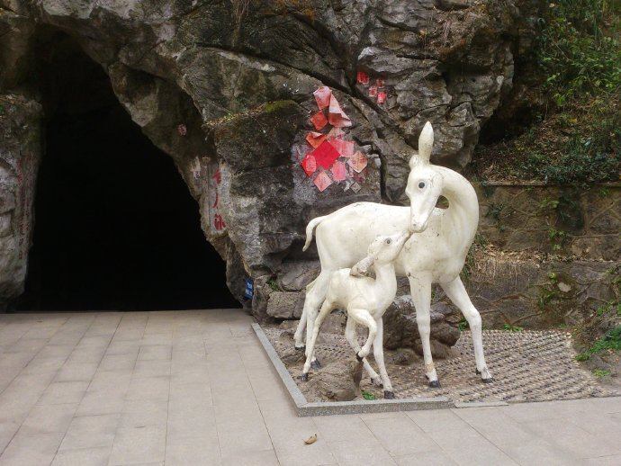 50953_pons_3360.jpeg